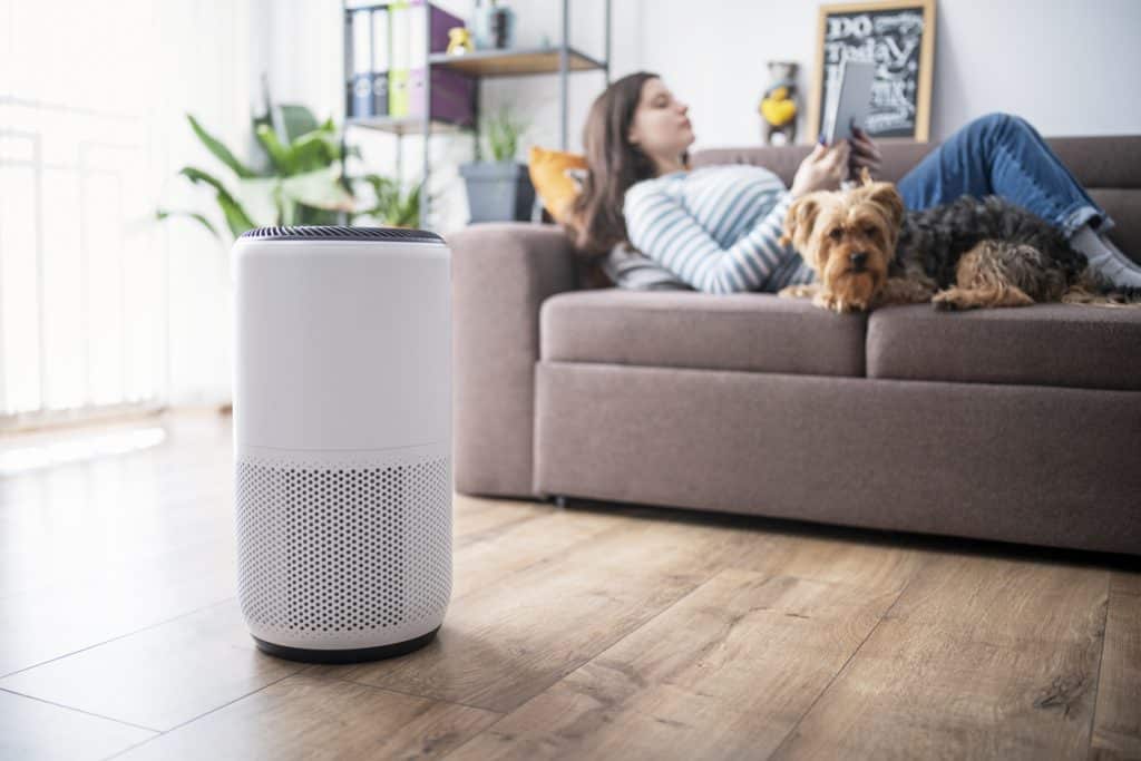 A woman laying on her couch with a dog by her feet with a white air cleaner on the hardwood floor in her home.